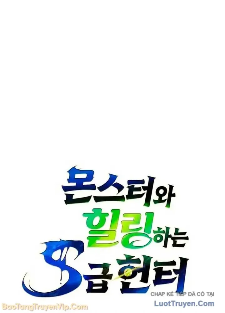 Healer Cấp S Chữa Trị Cho Quái Vật Chap 41 - Next Chap 42