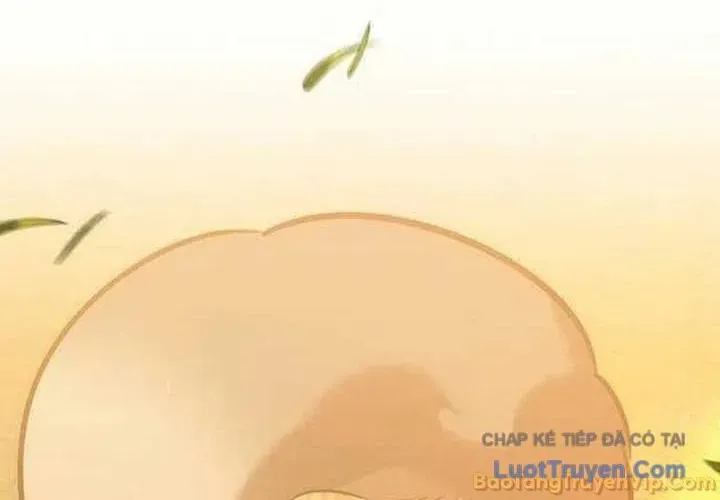 Healer Cấp S Chữa Trị Cho Quái Vật Chap 44 - Next Chap 45