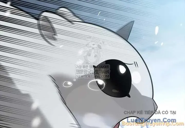 Healer Cấp S Chữa Trị Cho Quái Vật Chap 45 - Next Chap 46