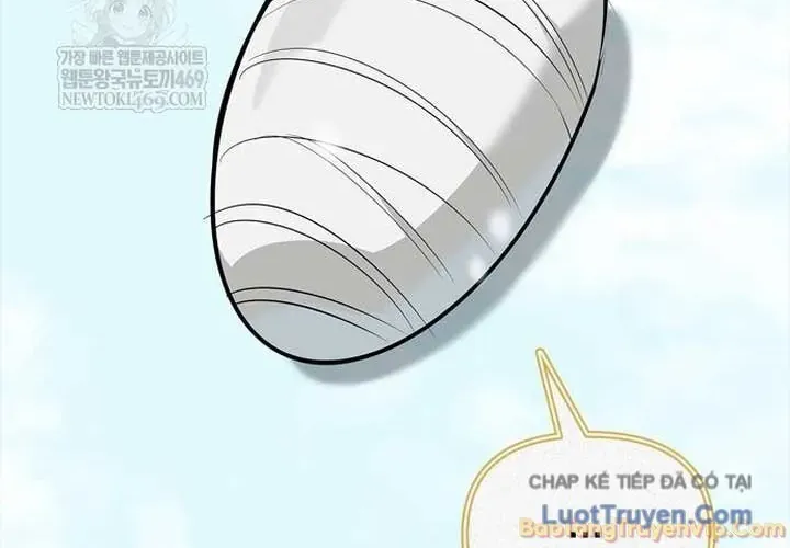 Healer Cấp S Chữa Trị Cho Quái Vật Chap 45 - Next Chap 46