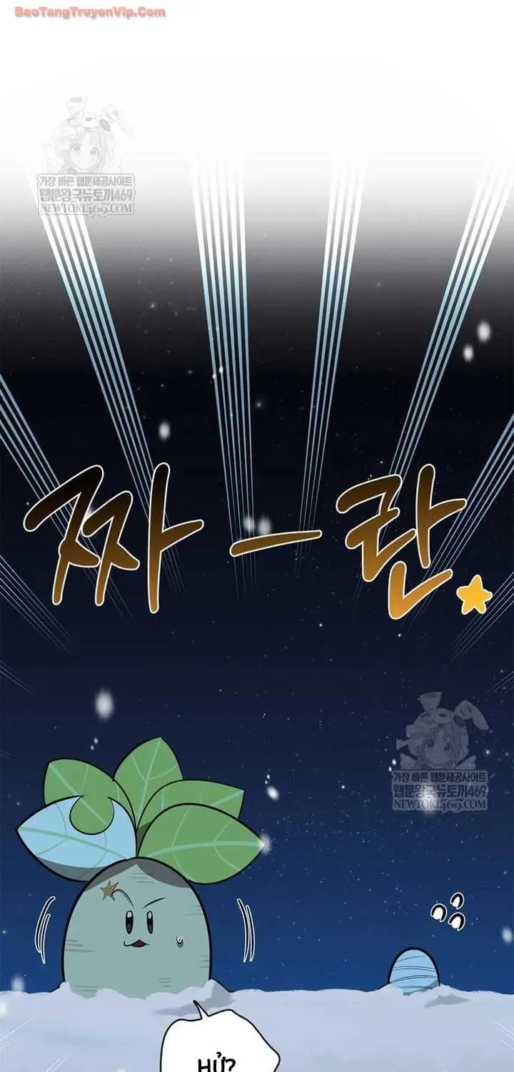 Healer Cấp S Chữa Trị Cho Quái Vật Chap 45 - Next Chap 46