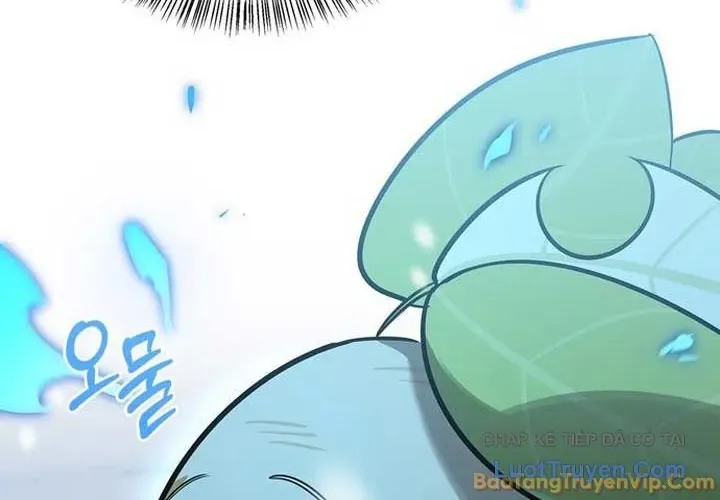 Healer Cấp S Chữa Trị Cho Quái Vật Chap 45 - Next Chap 46