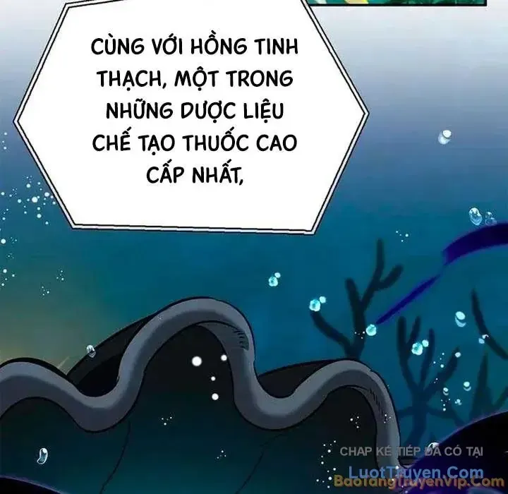 Healer Cấp S Chữa Trị Cho Quái Vật Chap 46 - Next Chap 47