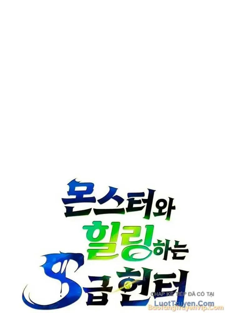 Healer Cấp S Chữa Trị Cho Quái Vật Chap 46 - Next Chap 47