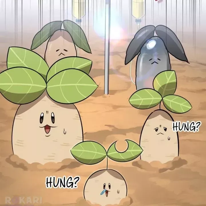 Healer Cấp S Chữa Trị Cho Quái Vật Chap 47 - Next Chap 48