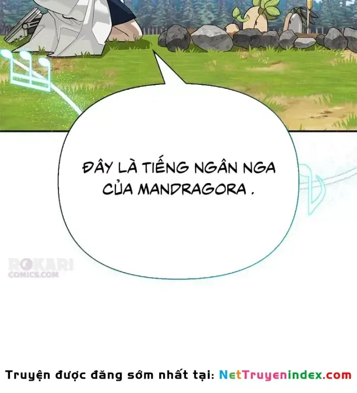 Healer Cấp S Chữa Trị Cho Quái Vật Chap 47 - Next Chap 48