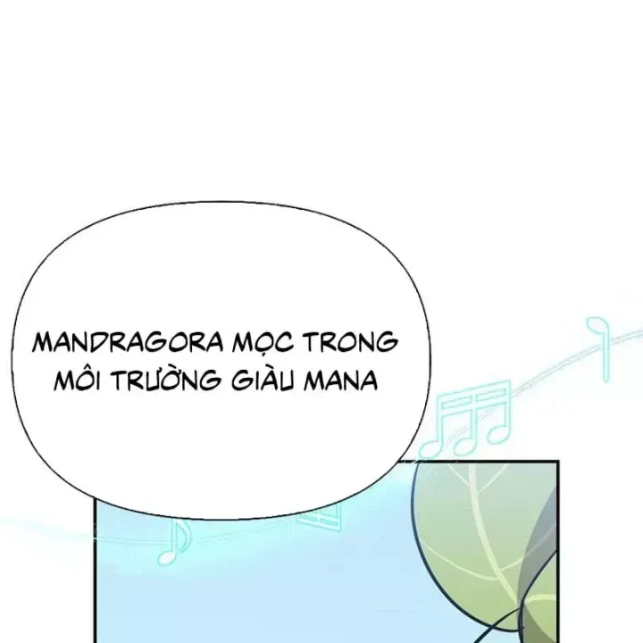 Healer Cấp S Chữa Trị Cho Quái Vật Chap 47 - Next Chap 48