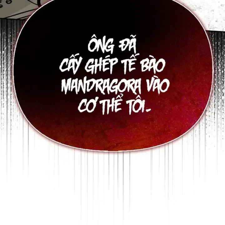 Healer Cấp S Chữa Trị Cho Quái Vật Chap 48 - Next Chap 49
