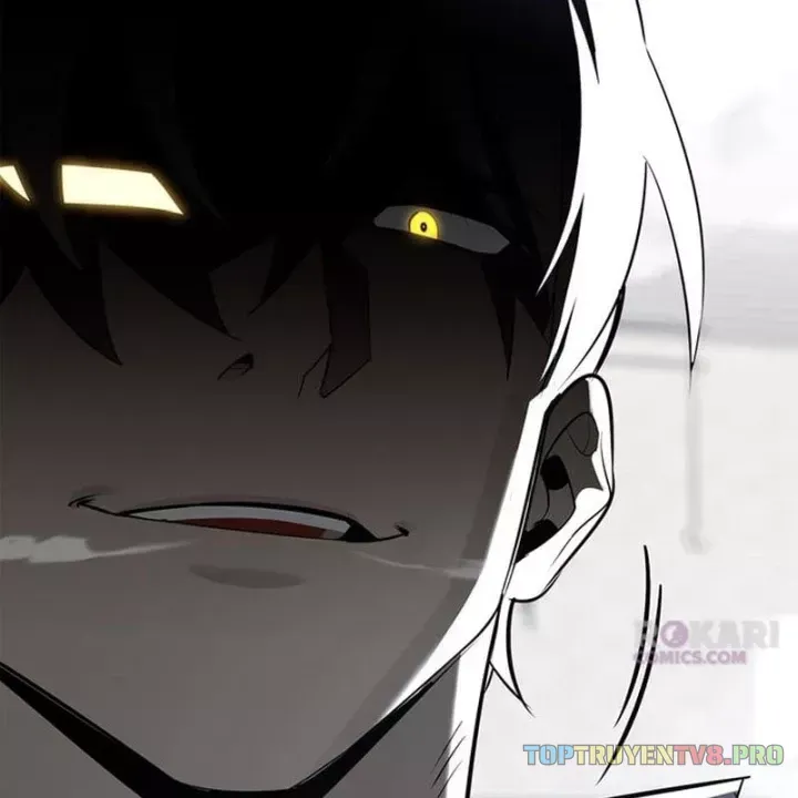 Healer Cấp S Chữa Trị Cho Quái Vật Chap 48 - Next Chap 49