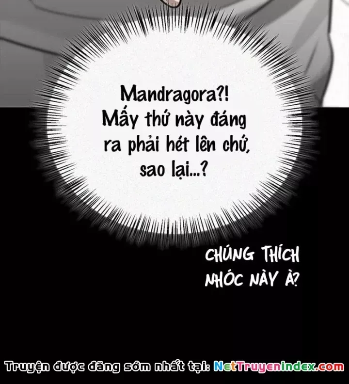Healer Cấp S Chữa Trị Cho Quái Vật Chap 48 - Next Chap 49
