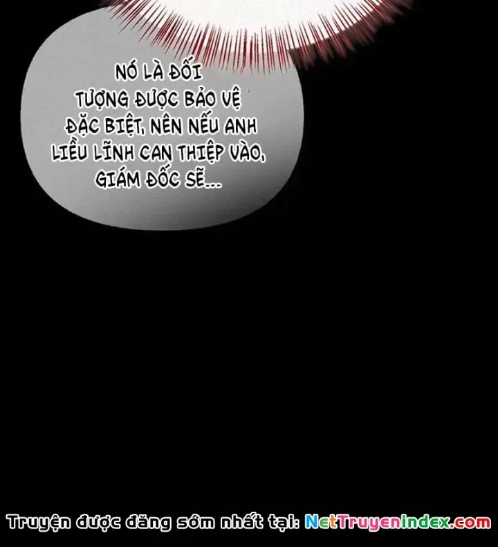 Healer Cấp S Chữa Trị Cho Quái Vật Chap 48 - Next Chap 49