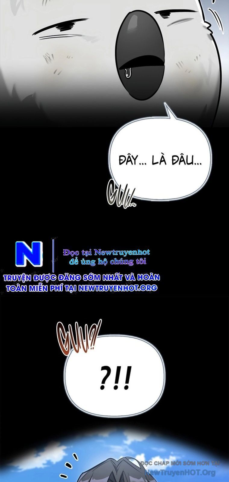 Healer Cấp S Chữa Trị Cho Quái Vật Chap 6 - Next Chap 7