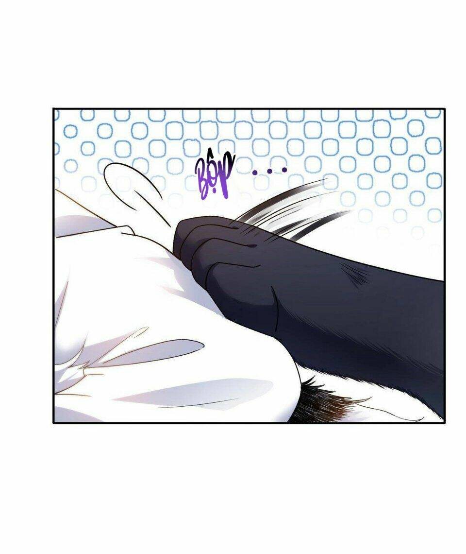 Hệt Như Hàn Quang Gặp Nắng Gắt Chap 281 - Next Chap 282