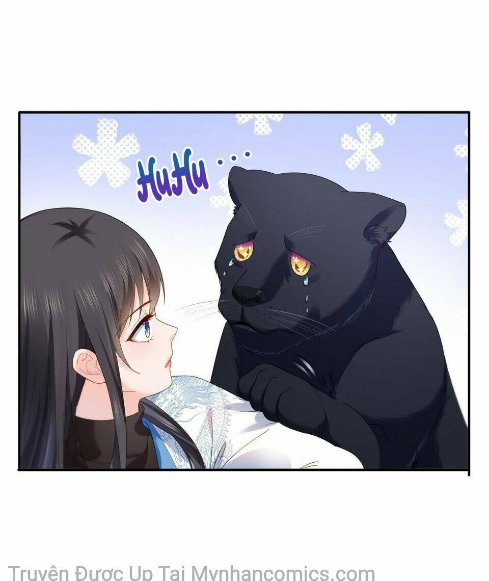 Hệt Như Hàn Quang Gặp Nắng Gắt Chap 281 - Next Chap 282