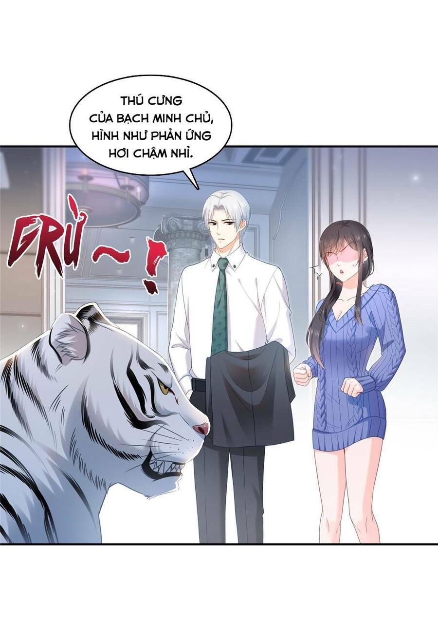 Hệt Như Hàn Quang Gặp Nắng Gắt Chap 331 - Next Chap 332