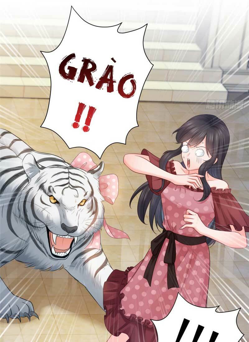 Hệt Như Hàn Quang Gặp Nắng Gắt Chap 64 - Next Chap 65