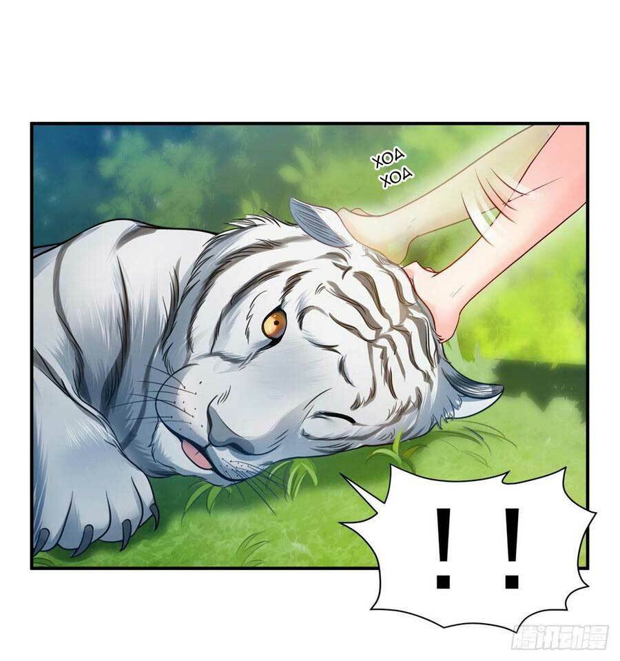 Hệt Như Hàn Quang Gặp Nắng Gắt Chap 67 - Next Chap 68