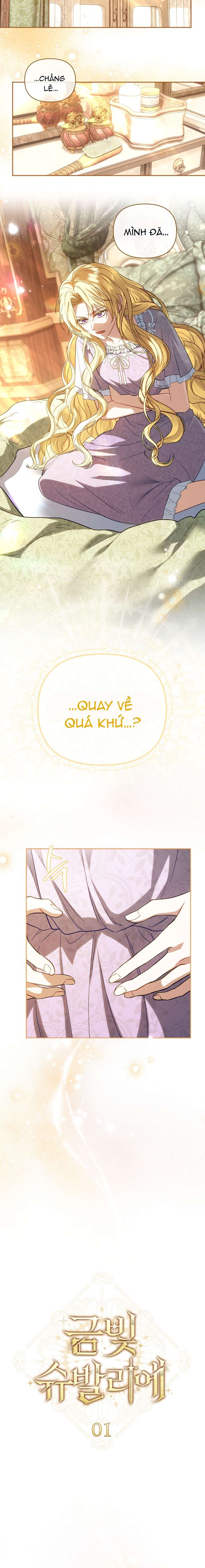 Hiệp Sĩ Vàng Chap 1 - Next Chap 2