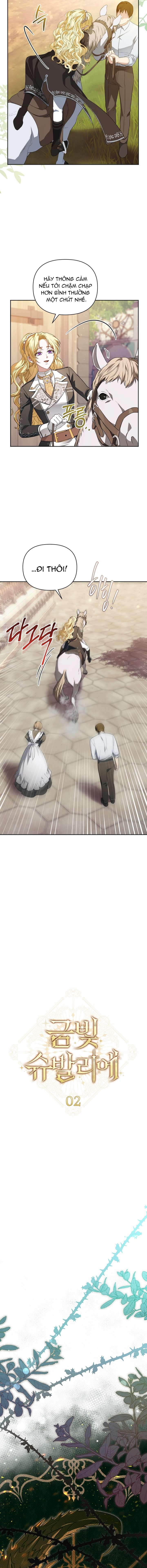 Hiệp Sĩ Vàng Chap 2 - Next Chap 3