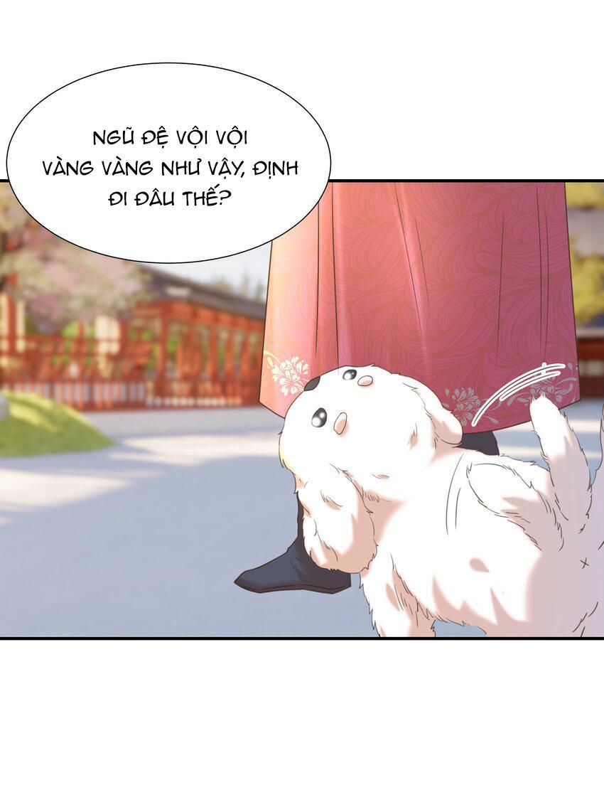 Hình Như Cầm Nhầm Kịch Bản Của Nữ Chính Rồi! Chap 65 - Next Chap 66