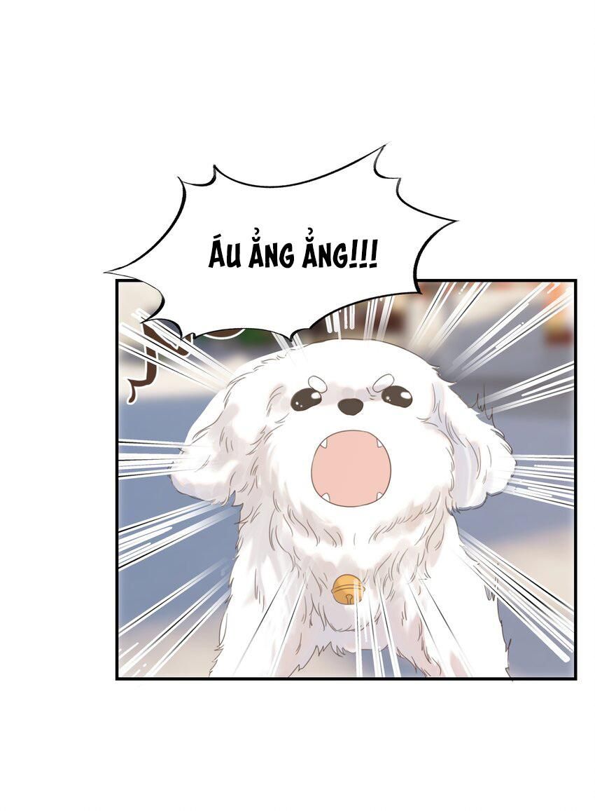 Hình Như Cầm Nhầm Kịch Bản Của Nữ Chính Rồi! Chap 65 - Next Chap 66