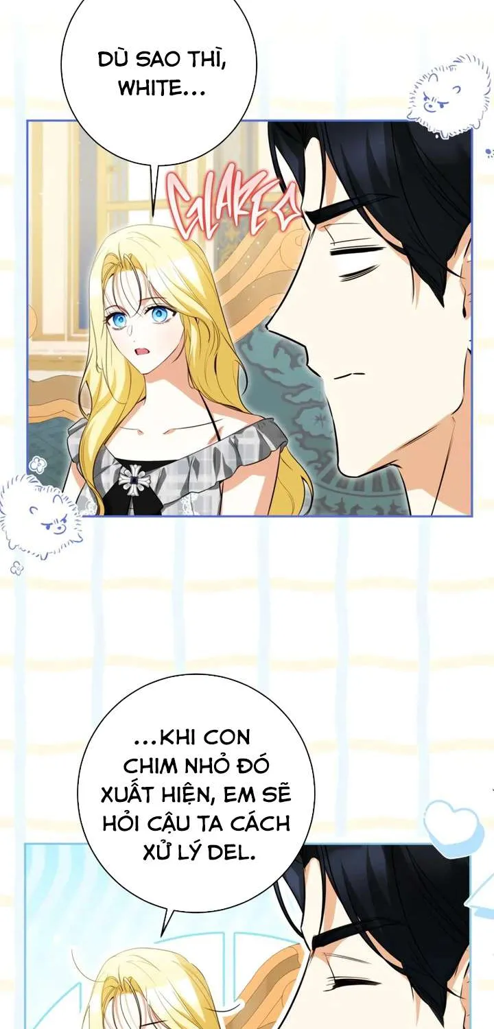 Hình Như Tôi Đã Xuyên Vào Cuốn Tiểu Thuyết Nào Đó Chap 82 - Next Chap 83