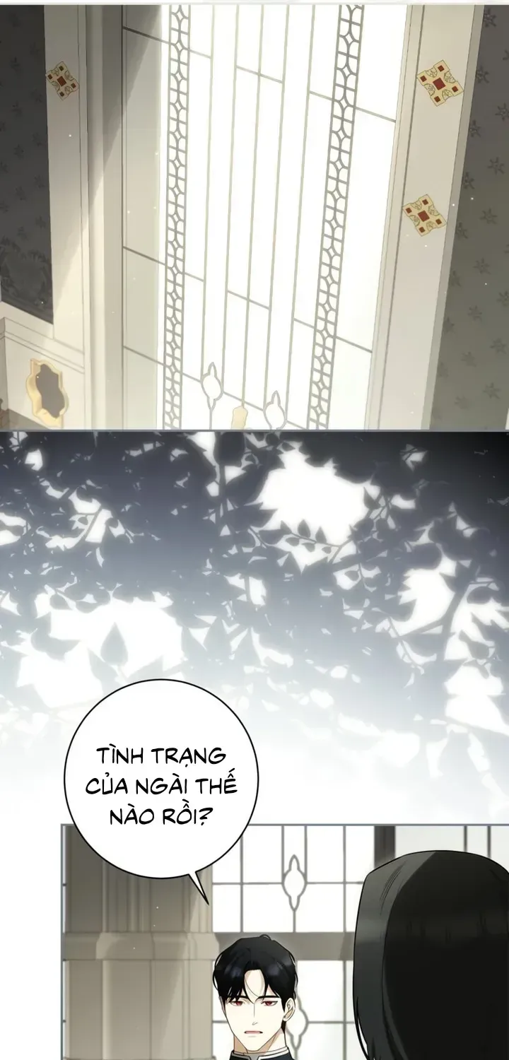 Hình Như Tôi Đã Xuyên Vào Cuốn Tiểu Thuyết Nào Đó Chap 86 - Next Chap 87