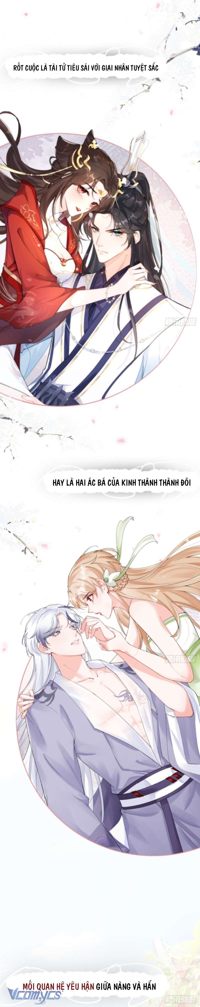 Hình Tượng Manh Chủ Lại Bị Phá Nát Rồi! Chap 0 - Next Chap 1