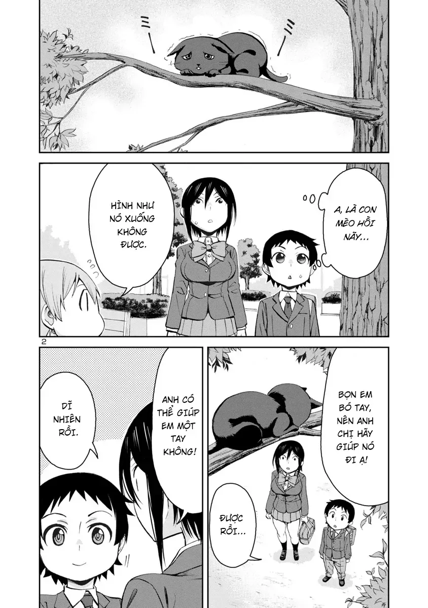 Hitomi-Chan Wa Hitomishiri Chap 70 - Next Chap 71