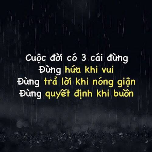 Hổ Đến Chơi Nhà Chap 101 - Next Chap 102