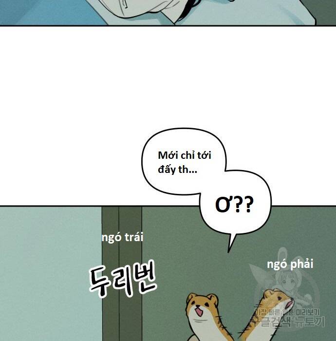 Hổ Đến Chơi Nhà Chap 105 - Next Chap 106