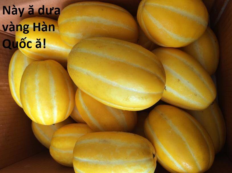 Hổ Đến Chơi Nhà Chap 108 - Next Chap 109