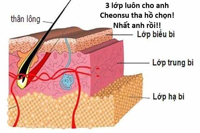 Hổ Đến Chơi Nhà Chap 121 - Next Chap 122