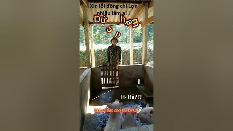 Hổ Đến Chơi Nhà Chap 126 - Next Chap 127
