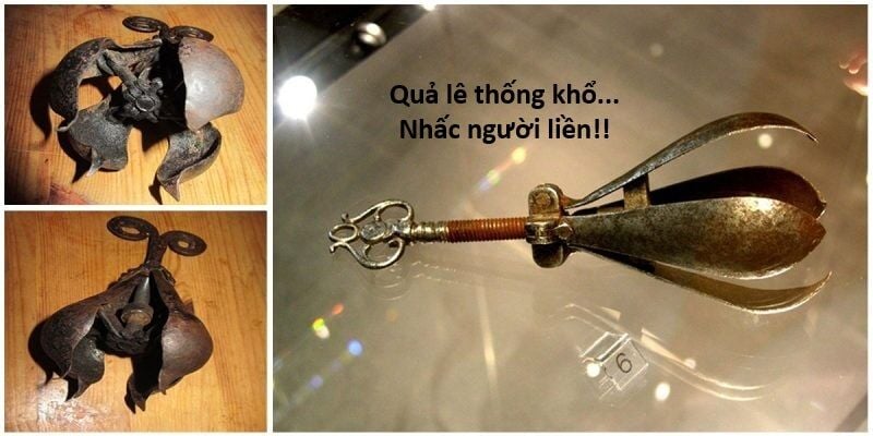 Hổ Đến Chơi Nhà Chap 127 - Next Chap 128