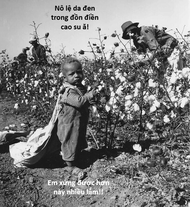 Hổ Đến Chơi Nhà Chap 127 - Next Chap 128