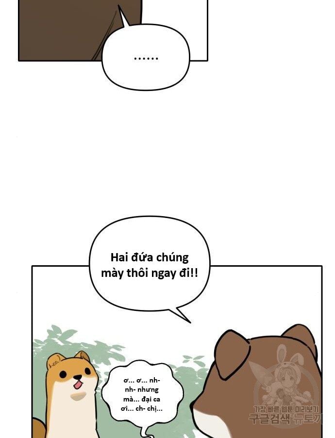 Hổ Đến Chơi Nhà Chap 132 - Next Chap 133