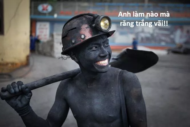 Hổ Đến Chơi Nhà Chap 134 - Next Chap 135