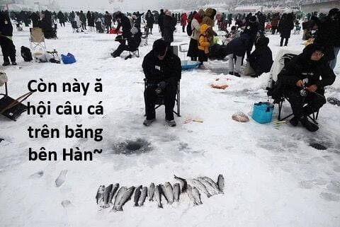 Hổ Đến Chơi Nhà Chap 135 - Next Chap 136