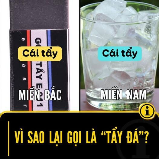 Hổ Đến Chơi Nhà Chap 137 - Next Chap 138