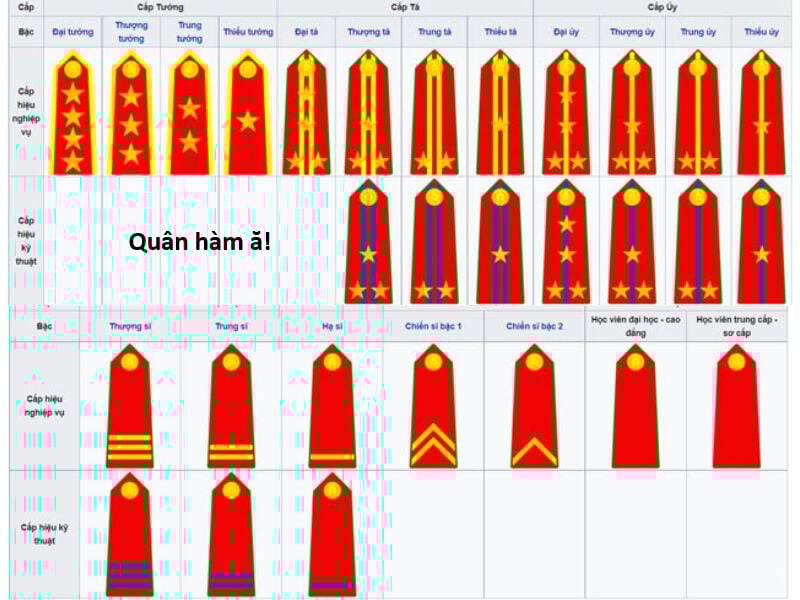 Hổ Đến Chơi Nhà Chap 139 - Next Chap 140