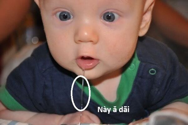 Hổ Đến Chơi Nhà Chap 140 - Next Chap 141