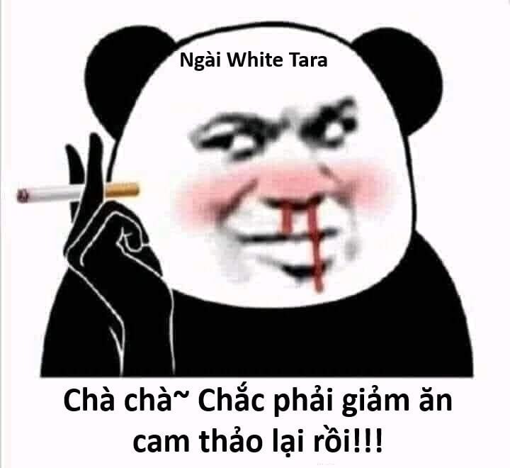 Hổ Đến Chơi Nhà Chap 143 - Next Chap 144