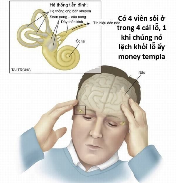 Hổ Đến Chơi Nhà Chap 144 - Next Chap 145