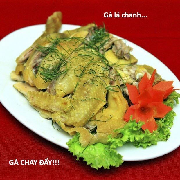 Hổ Đến Chơi Nhà Chap 145 - Next Chap 146