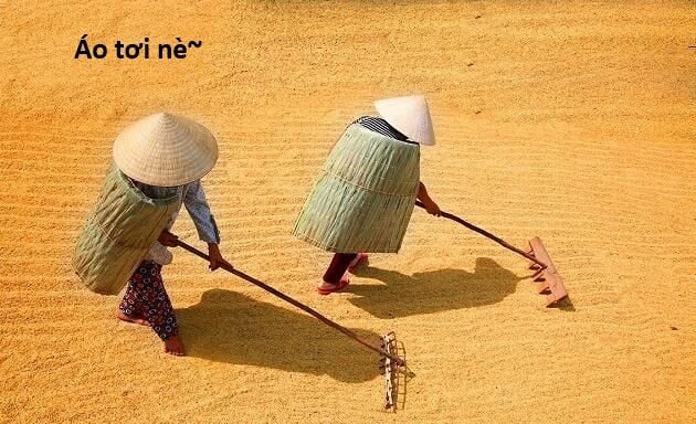 Hổ Đến Chơi Nhà Chap 146 - Next Chap 147