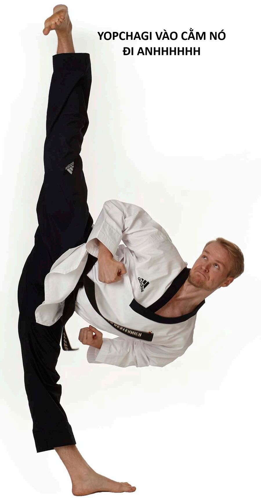 Hổ Đến Chơi Nhà Chap 146 - Next Chap 147