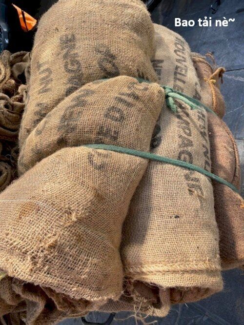 Hổ Đến Chơi Nhà Chap 147 - Next Chap 148