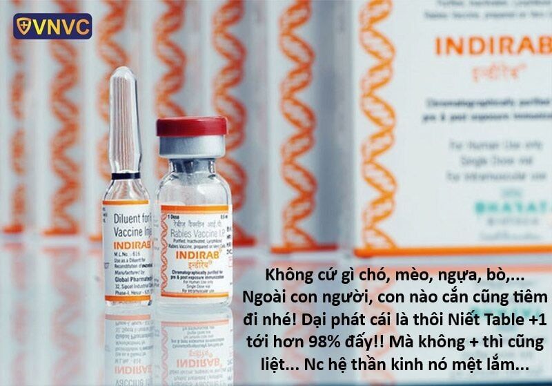 Hổ Đến Chơi Nhà Chap 151 - Next Chap 152