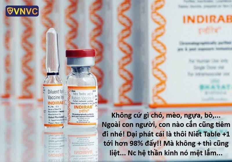 Hổ Đến Chơi Nhà Chap 151 - Next Chap 152